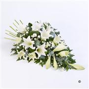 White Lily Shief