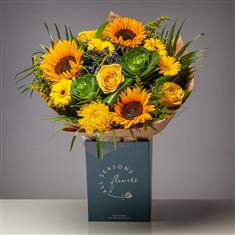 You Are My Sunshine