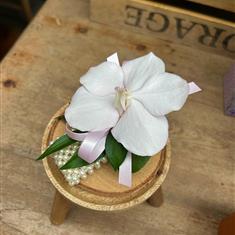 Orchid Corsage 