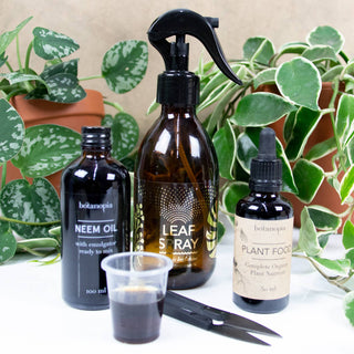 Plant Care