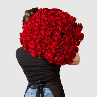 Valentines Collection