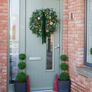 Eucalyptus Evergreen