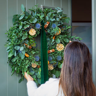 Eucalyptus Evergreen