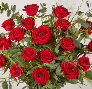 Bouquet of red roses with green leaves on a light background