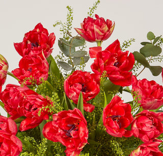 Mix Tulips in a Vase