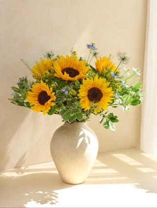 Hello Sunshine